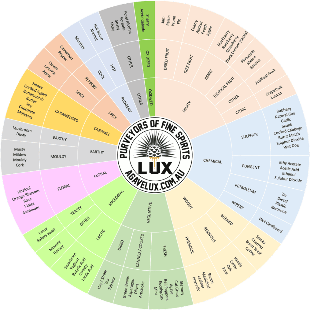 Roda de Sabores da Tequila