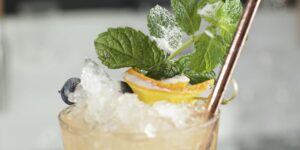 Sherry Cobbler - Versão atualizada